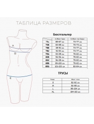 Комплект нижнего белья "Индефини" (318000-2020WXY)